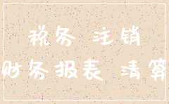 注销公司需要的会计报表