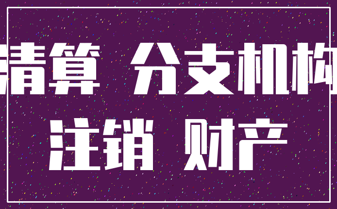 清算 分支机构_注销 财产