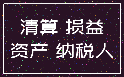 清算 损益_资产 纳税人