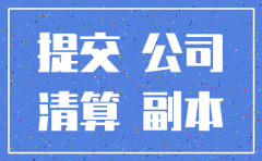 公司注销提交材料目录
