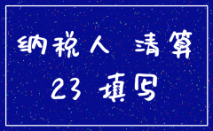 公司税务注销申报表