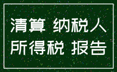 注销公司的企业所得税结算表