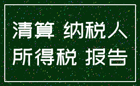 清算 纳税人_所得税 报告