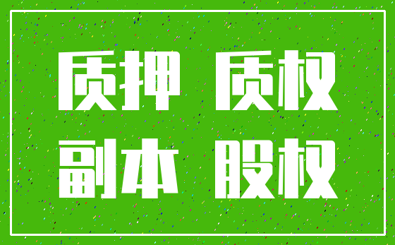 质押 质权_副本 股权