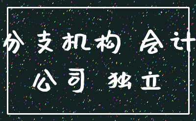 分支机构 会计_公司 独立