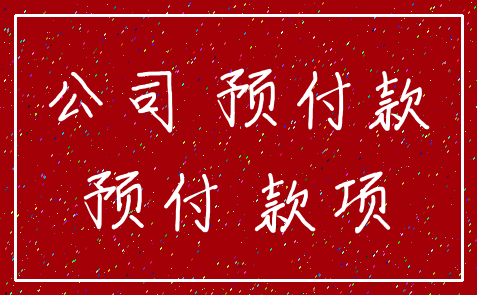 公司 预付款_预付 款项