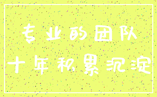 专业的团队_十年积累沉淀