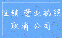 注销公司中的注册号是什么