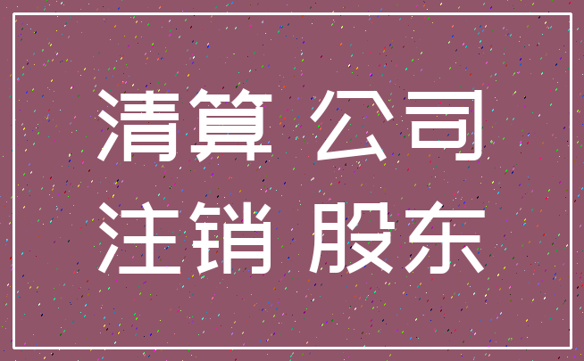 清算 公司_注销 股东