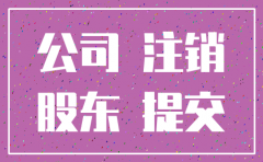 上海公司注销 出资