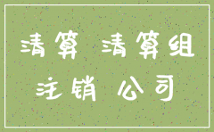注销公司的清算方案