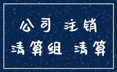 公司注销企业撤销的决定书