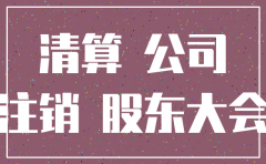注销公司清算组决议样本