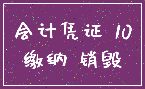 会计凭证 10_缴纳 销毁