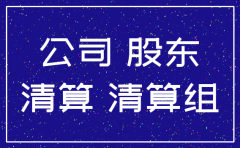 注销公司独资股东决定