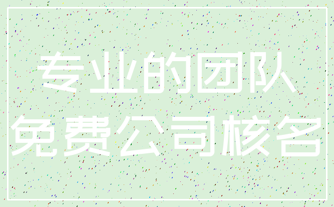 专业的团队_免费公司核名