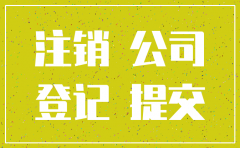注销公司工商备案申请表