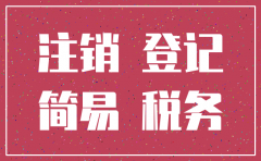 甘肃省有限公司简易注销流程