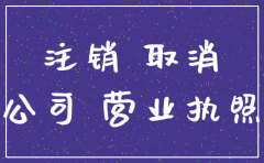 无营业公司的注销
