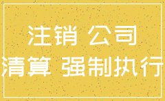 申请执行 公司注销