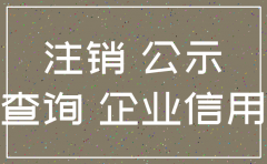 公司注销前的出资信息查询