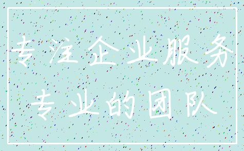 专注企业服务_专业的团队