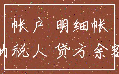 帐户 明细帐_纳税人 贷方余额
