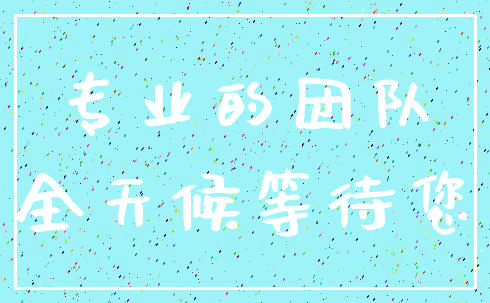 专业的团队_全天候等待您