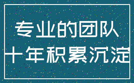 专业的团队_十年积累沉淀