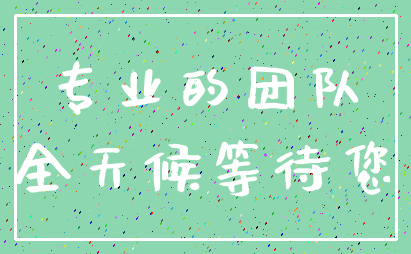 专业的团队_全天候等待您