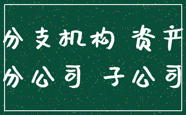 分支机构 资产_分公司 子公司
