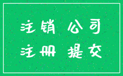 公司注销的证明文件