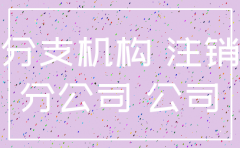 注销分公司总公司应出具的说明