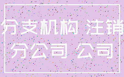 分支机构 注销_分公司 公司