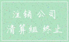 合肥公司注销苑博o财务