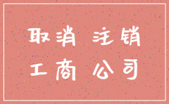 注销公司所有表格下载