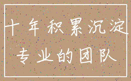 十年积累沉淀_专业的团队