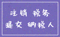 合肥公司税务注销材料