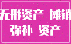 无形资产的未摊销 注销公司