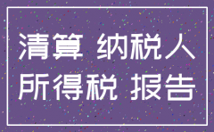 公司注销所得税申报表怎么填