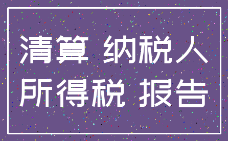 清算 纳税人_所得税 报告