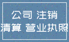 可信的浦东公司注销