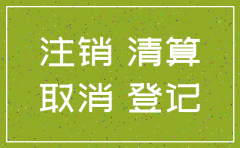 全民的所有制公司注销清算报告