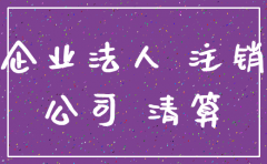 公司法人 注销 原告