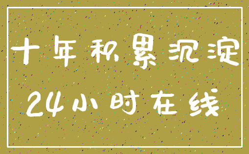 十年积累沉淀_24小时在线