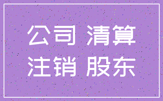 公司 清算_注销 股东