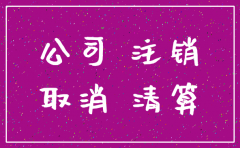 有限公司注销备案决议