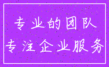 专业的团队_专注企业服务