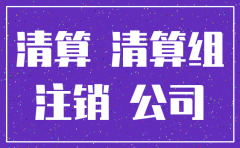 公司注销上报