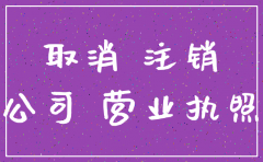 公司想注销怎么办理手续